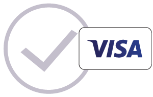 Visa Checkmark Icon